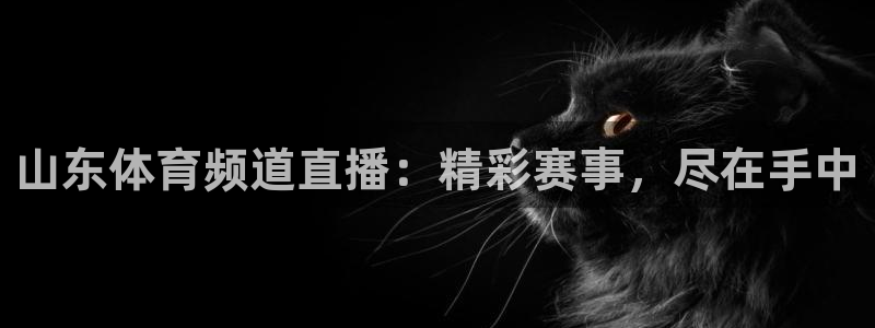 山东体育频道直播：精彩赛事，尽在手中