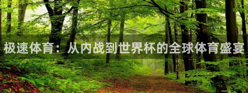 极速体育：从内战到世界杯的全球体育盛宴