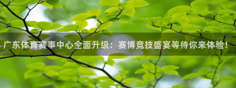 广东体育赛事中心全面升级：赛博竞技盛宴等待你来体验！