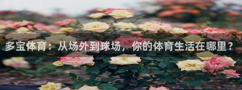 多宝体育：从场外到球场，你的体育生活在哪里？