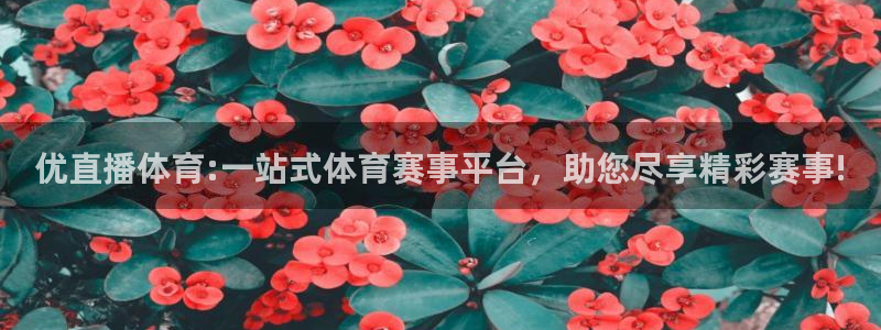优直播体育:一站式体育赛事平台，助您尽享精彩赛事!