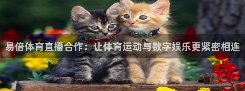 易倍体育直播合作：让体育运动与数字娱乐更紧密相连