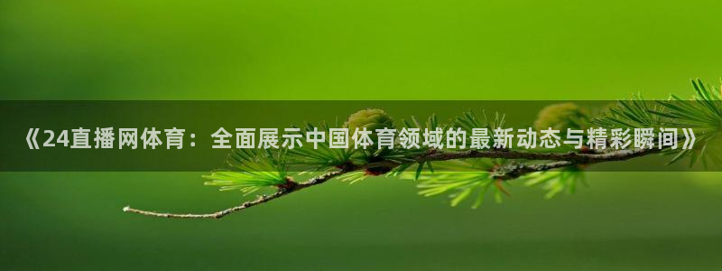 《24直播网体育：全面展示中国体育领域的最新动态与精彩瞬间》