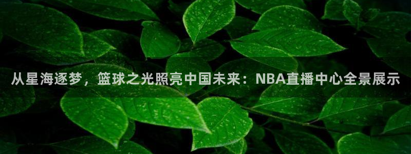 从星海逐梦，篮球之光照亮中国未来：NBA直播中心全景展示