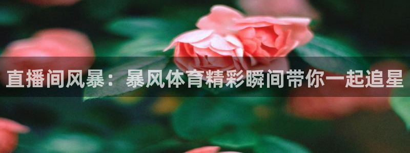直播间风暴：暴风体育精彩瞬间带你一起追星