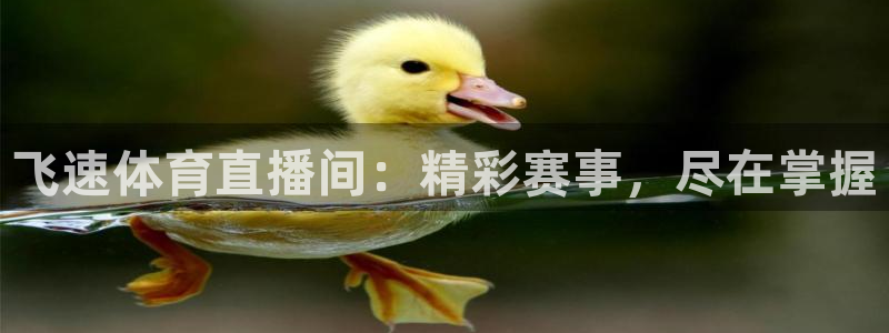 飞速体育直播间：精彩赛事，尽在掌握